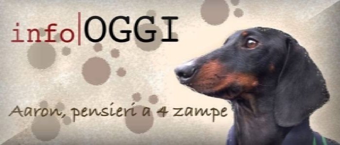 Esposizione Regionale Canina